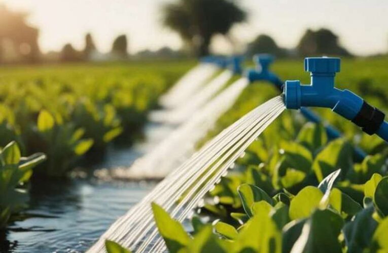 Kakšen namakalni sistem za vrt vas zanima?