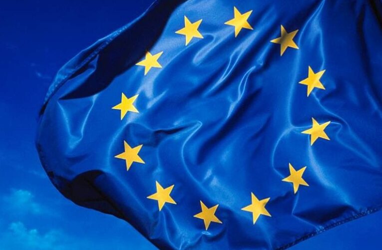 Zastava Evropske unije predstavlja skupne evropske vrednote